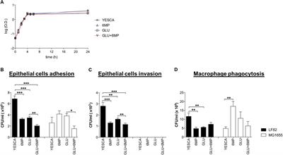 Phagocytosis and Epithelial Cell Invasion by Crohn’s Disease-Associated Adherent-Invasive Escherichia coli Are Inhibited by the Anti-inflammatory Drug 6-Mercaptopurine